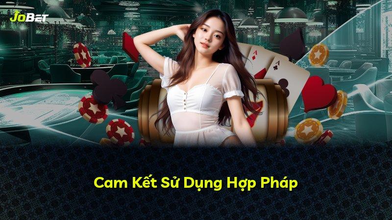 Cam Kết Sử Dụng Hợp Pháp