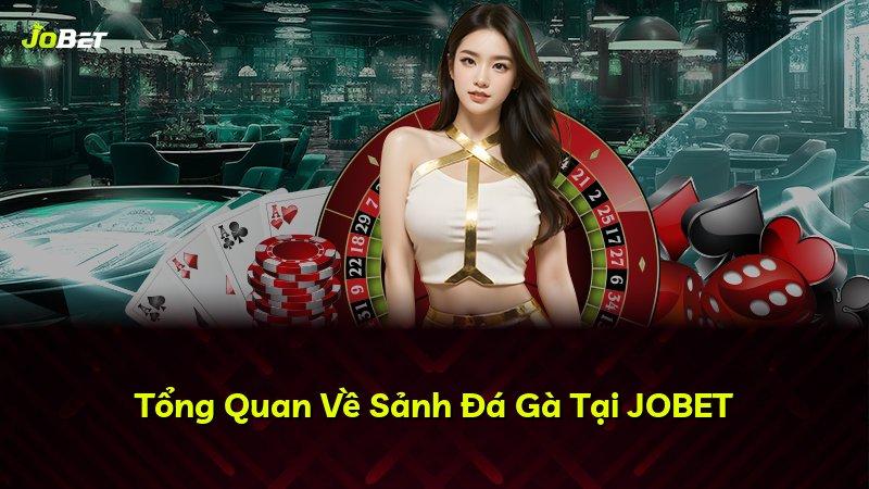 Tổng Quan Về Sảnh Đá Gà Tại JOBET